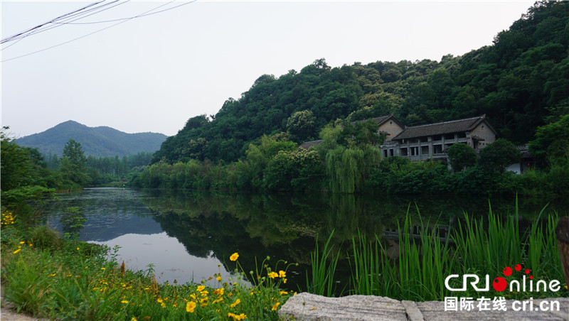 Belt and Road International Youth Experience Team Arrives in Pingqiao District, Xinyang to Discover New Chapters of Rural Revitalization_fororder_圖片3